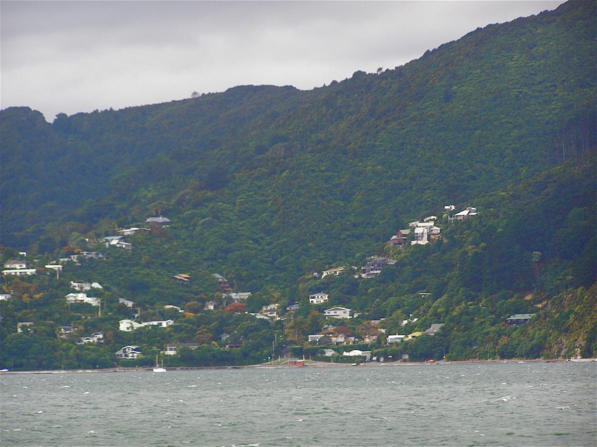 Bush House Bed & Breakfast Lower Hutt Bagian luar foto